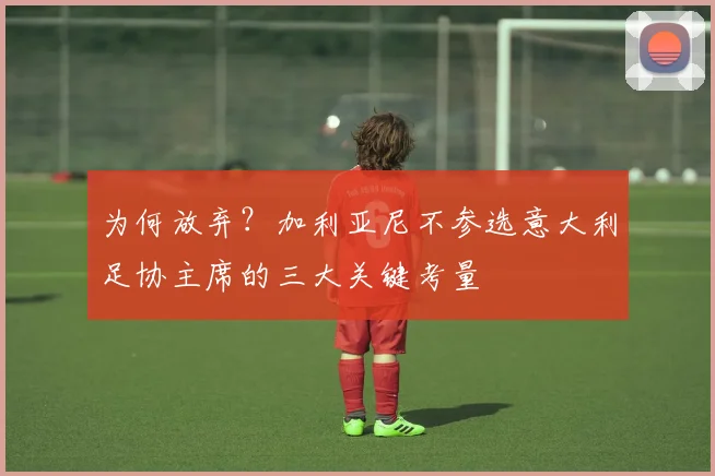 为何放弃?加利亚尼不参选意大利足协主席的三大关键考量
